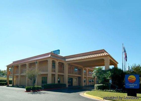 Quality Inn Near Casinos And Convention Center Bossier City Zewnętrze zdjęcie